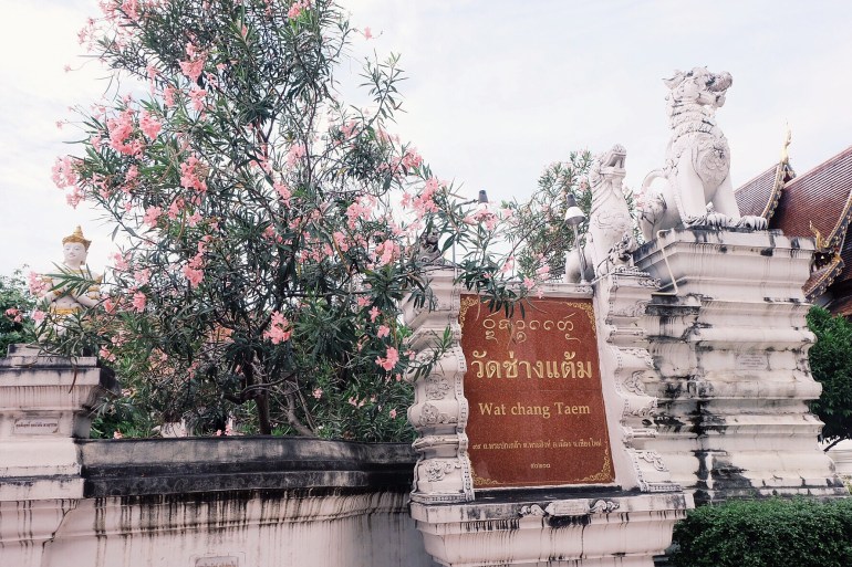 Processed with VSCO with g3 preset