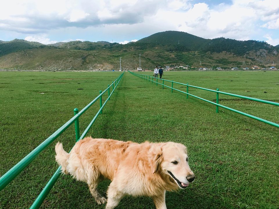 18882132_1692726840741693_170058961070126409_n