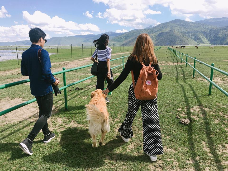 18952531_1692726804075030_9091007109445568312_n